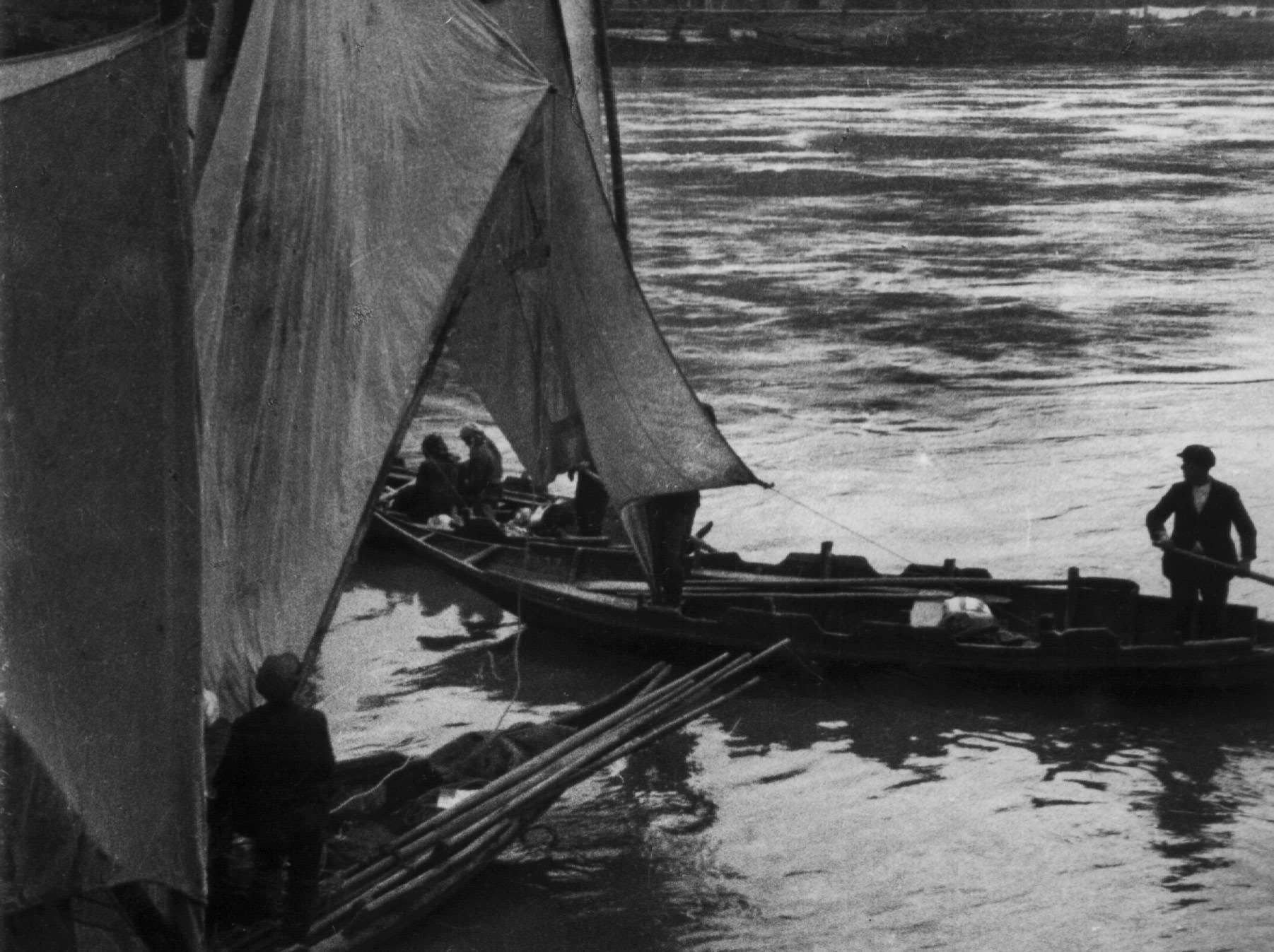 Douro, Faina Fluvial
e concerto Vignette
